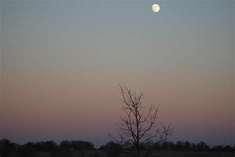 Itap Of The Moon During The Sunset I Like The Mild Colors