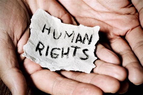 Essay Example Of Human Rights Blog That Helps In Education