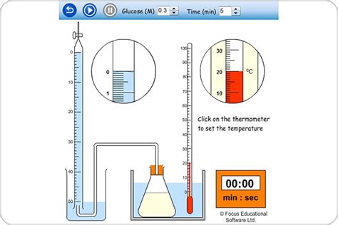 Respiration in the presence of oxygen makes possible the complete oxidation of nutrient compounds into carbon dioxide and water. Respiration of Yeast by Focus Educational Software