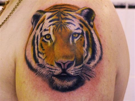Tiger tattoos can be done on arms, back tiger tattoos are popular with 3d realistic tattoo art, in which it seems very real designs which can easily attracts anybody within a short period of time. Tiger Tattoos Designs Ideas Men Arms - | TattooMagz ...
