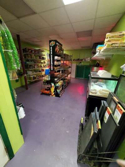 She was amazing and wonderful dog. Chelle's Family Pet Center - Newport, PA - Pet Supplies