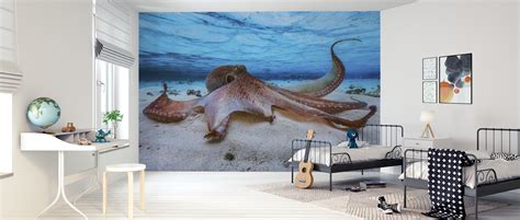 Octopus High Quality Wall Murals With Free Uk Delivery Photowall