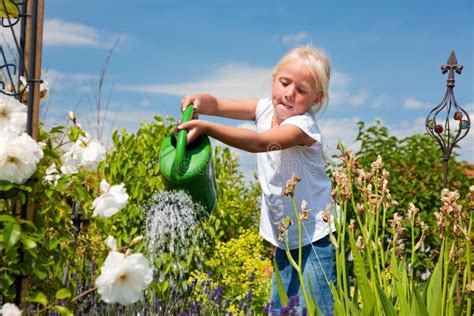 Little Girl Watering Flowers Stock Photo Image Of Recreation Green