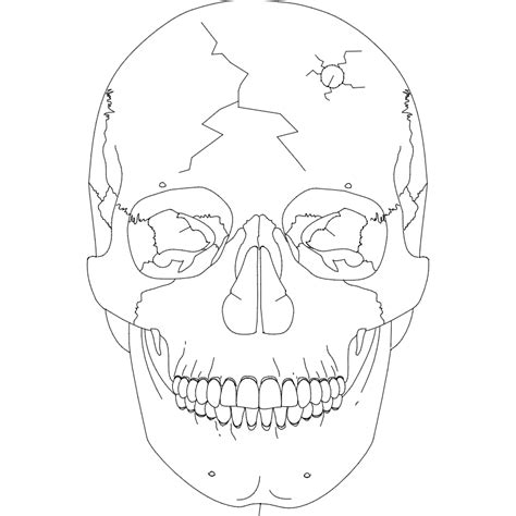 Skull 2 Dxf File Free Download