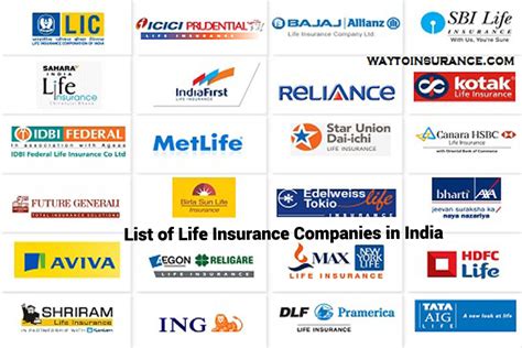 Exploring The Best Whole Life Insurance Companies In 2023 Dekoronline