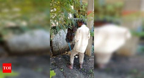 Urinating In Public Times Of India