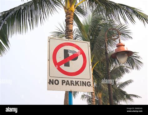 No Parking Sign Board On A Blue Pole Evening Sky And Coconut Trees In