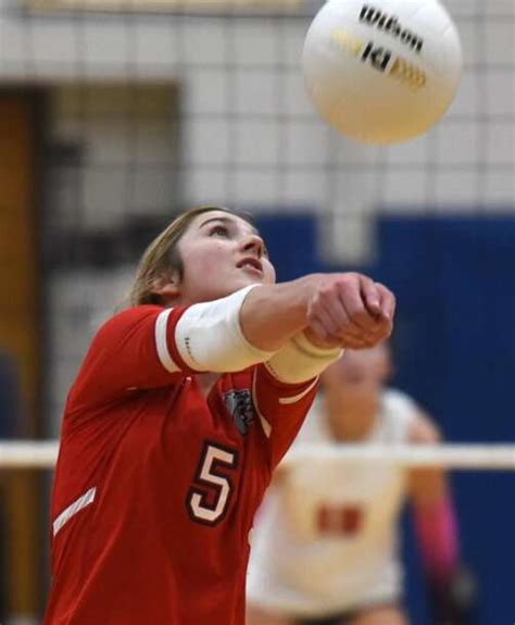 Girls Volleyball Lake County All Area Team