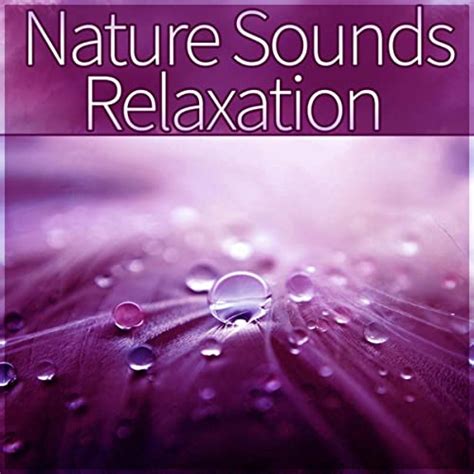 Instrumental Nature Sounds By Relaxing Nature Sounds Collection On