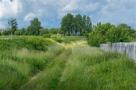 Village Path Road In Long Green Grass Countryside Scene Stock Photo