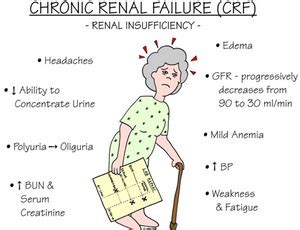 More than 1 in 7 u.s. Chronic Renal Failure