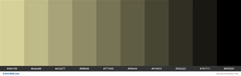 Shades X11 Color Pale Goldenrod Eee8aa Hex Colorswall