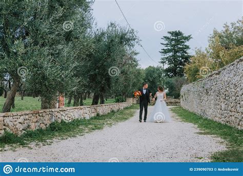 happy stylish smiling couple walking in tuscany italy on their wedding day the bride and groom