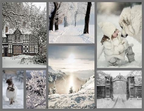 Winter Scenery Winter Colors Vintage Christmas Photos Beautiful