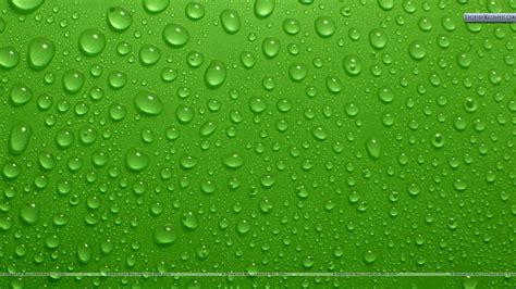 Green Desktop Backgrounds 73 Pictures