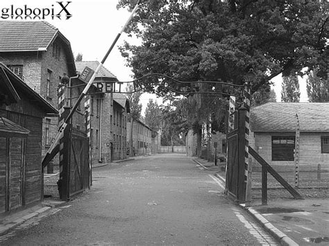 Facevano parte del complesso a cui faceva capo auschwitz anche il nostro campo di concentramento di birkenau, quello di monowitz e altri 45 campi di sterminio di dimensioni inferiori. PHOTO AUSCHWITZ: LAGER DI AUSCHWITZ - Globopix