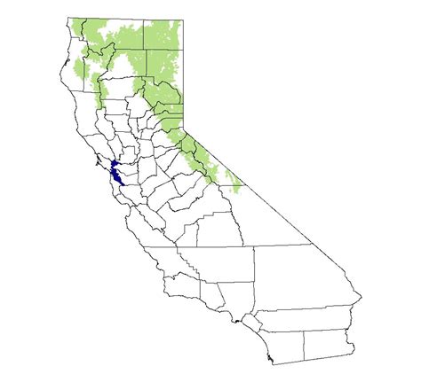 California Mammal Maps Yellow Pine Chipmunk Tamias Amoenus