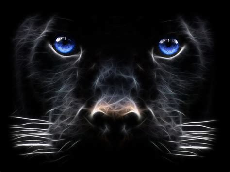 Neon Panther Animal Wallpapers Wallpaper Cave