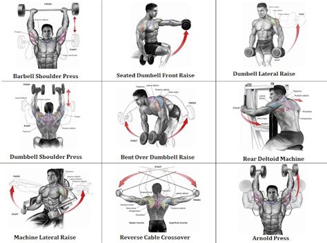 2 Shoulder Routines To Get The Best Shoulder Workout Guaranteed