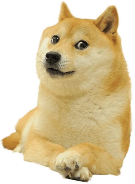 Cut Out Doge Png For You All To Use Dogelore