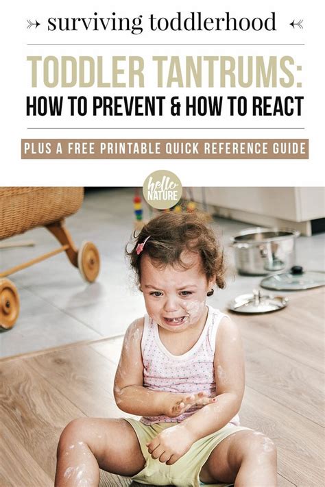 Toddler Tantrums How To Prevent How To React And When To