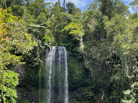 Waterfall Wanderers Cairns All You Need To Know Before You Go