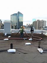 Green Roofing Brooklyn Pictures