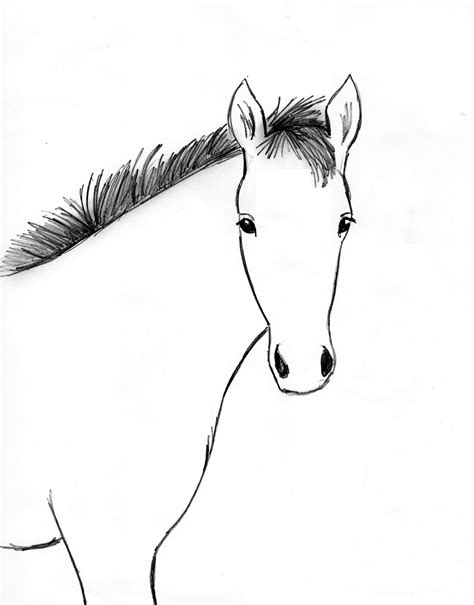 Horse Drawing Step By Step Art Starts