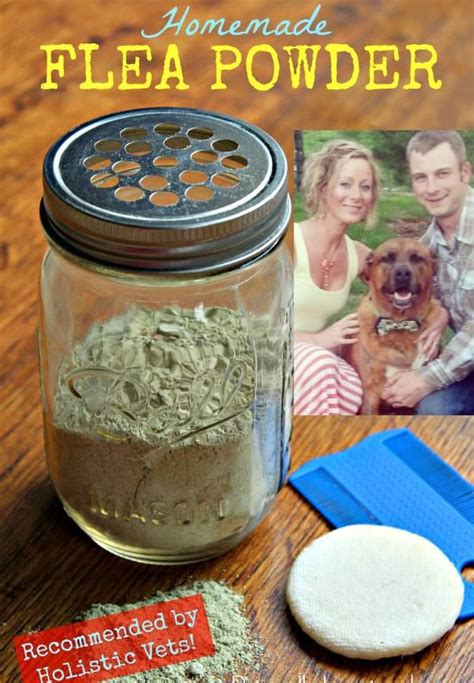 Homemade Flea Powder Recipe Flea Powder Flea Powder For Dogs