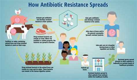 Antimicrobial Resistance Understanding Of The Term And Its Causes