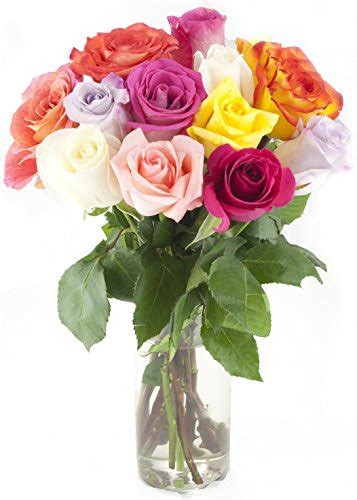 Bouquet Of Long Stemmed Rainbow Roses Dozen With Vase