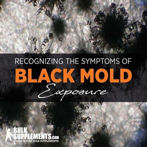 Tablo Read Black Mold Exposure Symptoms Diagnosis Treatment And Prevention By