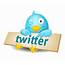 Twitter Bird HD Logo