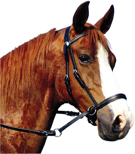 Leather Bitless Horse Bridle Dr Cook Bitless Bridle Headstalls