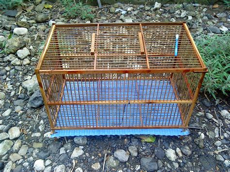 Kandang yang tidak terlalu lebar sangat berguna untuk kebutuhan ayam dalam hal ini kenyamanannya. Membersihkan kandang anakan ayam bangkok