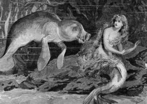 Mermaid Myths And Legends