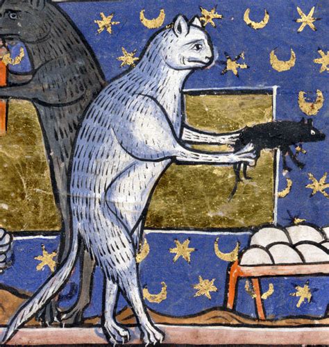 I also haven't stopped drawing, and i never will. Why Are Cats So Ugly In Medieval Artworks? - Barnorama