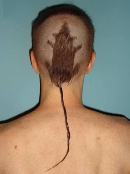 15 Bizarre Haircuts Huffpost Weird News
