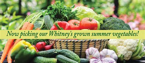 Whitneys Farm Market And Garden Center Cheshire And Berkshire County