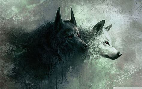 Wallpapers Hd Wolf Wallpaper Cave