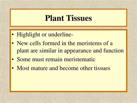 Ppt Plant Tissues Powerpoint Presentation Free Download Id9660360