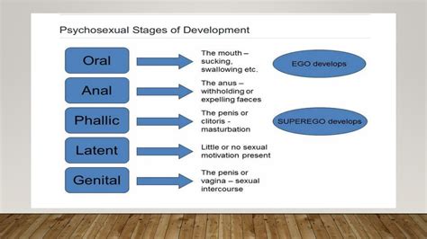 Sigmund Freuds Psychosexual Stages Of Development Module 2 Lesson 1b