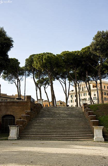 Rome Italy With Its Beautiful Umbrella Pine Trees The Pines Of