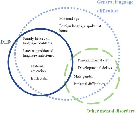 Individual And Cumulative Risk Factors In Developmental Language