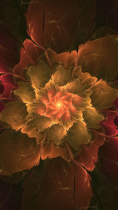 Flower 1 Wallpaper For Iphone 11 Pro Max X 8 7 6 Free Download