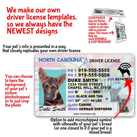 Pet Identity Card Ubicaciondepersonascdmxgobmx