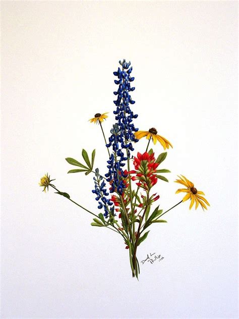 How To Draw A Bluebonnet At How To Draw
