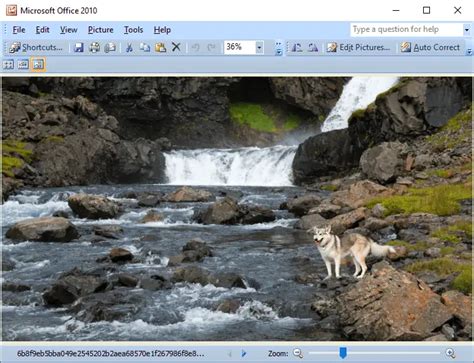How To Install Office Picture Manager In Windows 10 Winhelponline