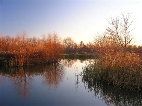 Wallpaper Reflection Water Nature Waterway Wetland Leaf Sky