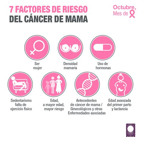 Causas Del Cancer De Mama